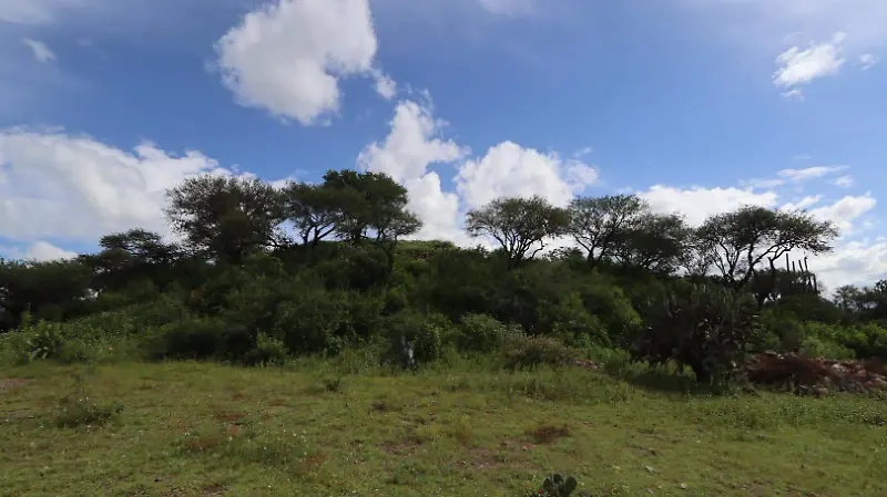 Zona arqueológica de El Rosario